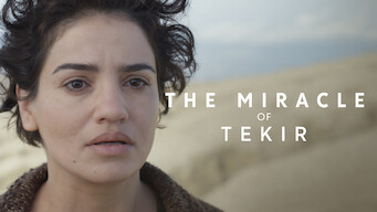 The Miracle of Tekir (2015)